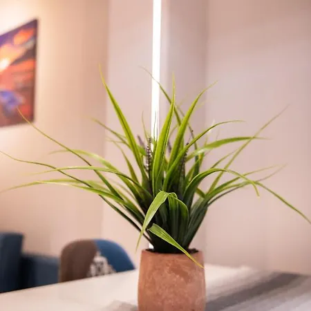 Anastasia Seaside * مانغاليا