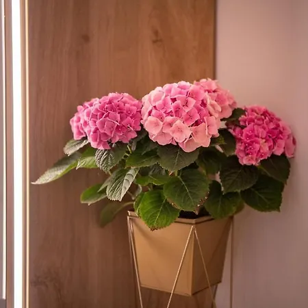 Anastasia Seaside Apartamento *